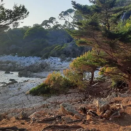 Apartament Sun-beach Avec Parking Et Jardin - 500m Des Plages De Juan Les Pins