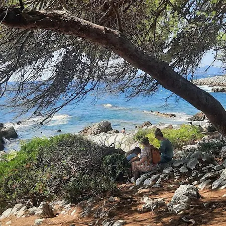 Sun-beach Avec Parking Et Jardin - 500m Des Plages De Juan Les Pins Apartament *