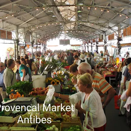 公寓 Sun-beach Avec Parking Et Jardin - 500m Des Plages De Juan Les Pins 昂蒂布