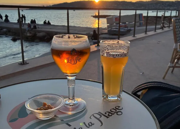 Sun-beach Avec Parking Et Jardin - 500m Des Plages De Juan Les Pins