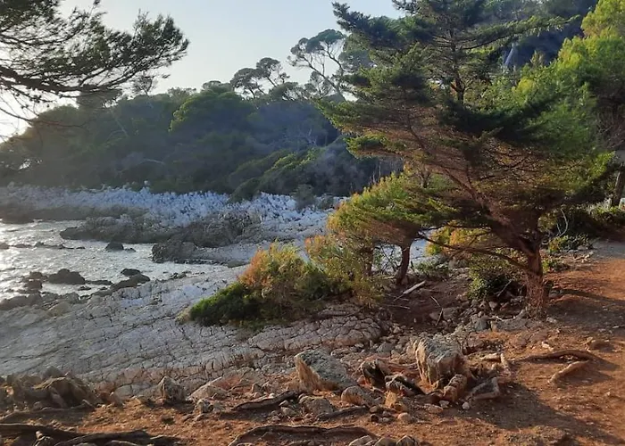 Apartment Sun-beach Avec Parking Et Jardin - 500m Des Plages De Juan Les Pins